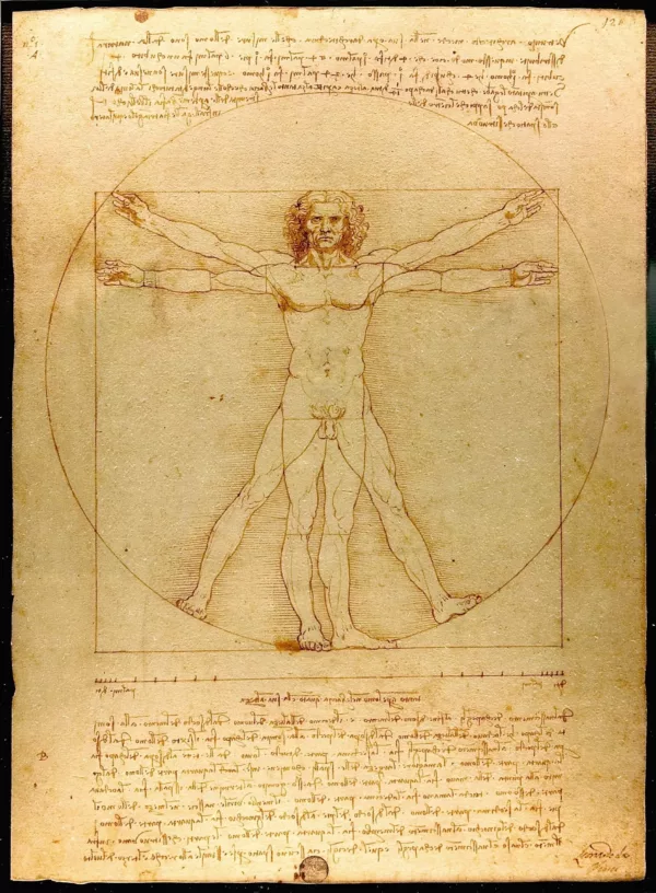 Da Vinci Vitruvian Man art img