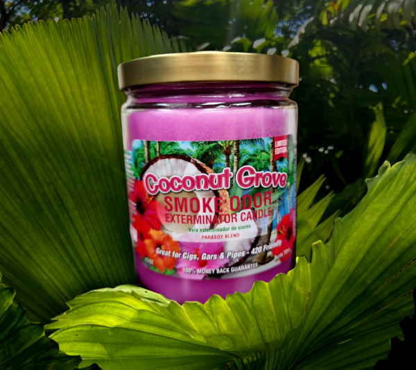 coconut-grove-scented-smoke-odor-eliminating-jar-candle-420-friendly